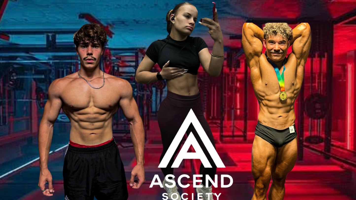 Top Tier Personalized Muscle Gain Plan